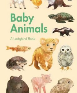 A Ladybird Book: Baby Animals - Stephanie Fizer Coleman - 9780241416907