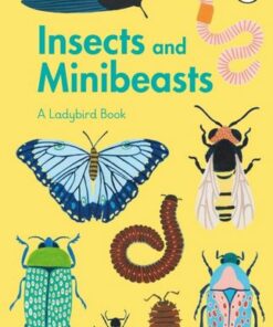 A Ladybird Book: Insects and Minibeasts - Amber Davenport - 9780241417034