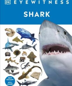 Shark - DK - 9780241553039
