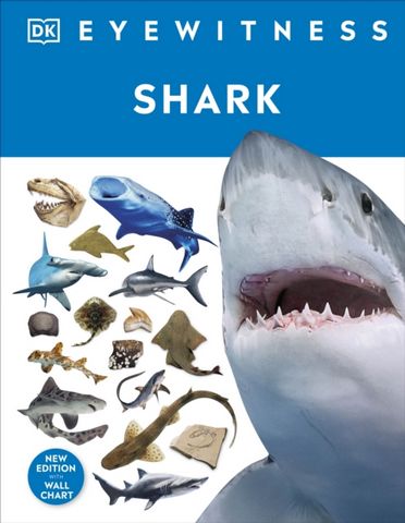 DK Eyewitness: Shark 30 Shark - DK - 9780241553039