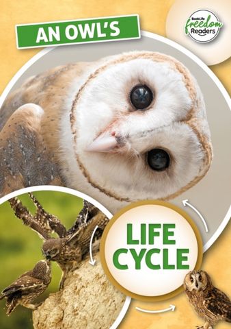 An Owl's Life Cycle - Madeline Tyler - 9781801551342
