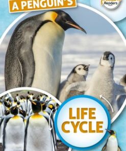 A Penguin's Life Cycle - Madeline Tyler - 9781801551359