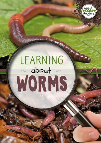 Learning about Worms - Holly Duhig - 9781801551403