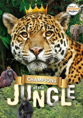 Champions of the Jungle - Madeline Tyler - 9781801551410