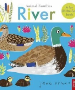 Animal Families: River - Jane Ormes - 9781839941450