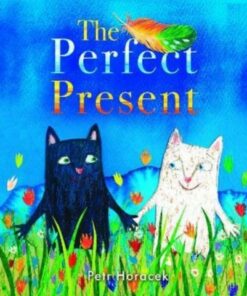 The Perfect Present - Petr Horacek - 9781913074326