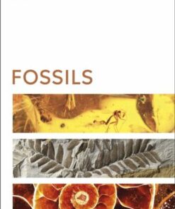 Fossils - DK - 9780241471432
