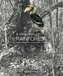A Walk Through the Rainforest - Martin Jenkins - 9781406331554