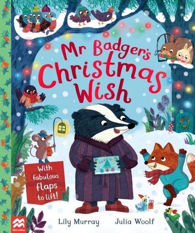 Mr Badger's Christmas Wish - Lily Murray - 9781529048803