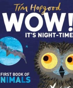 WOW! It's Night-time - Tim Hopgood - 9781529098969