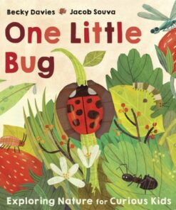 One Little Bug - Becky Davies - 9781801043281