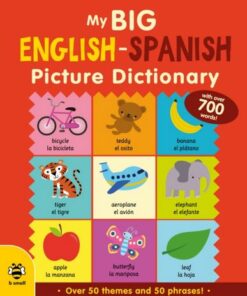 My Big English-Spanish Picture Dictionary - Catherine Bruzzone - 9781913918033