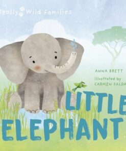 Little Elephant: A Day in the Life of a Elephant Calf - Carmen Saldana - 9780711274112
