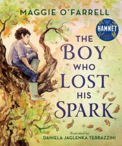 The Boy Who Lost His Spark - Maggie O'Farrell - 9781406392012
