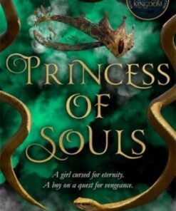 Princess of Souls: from the author of To Kill a Kingdom