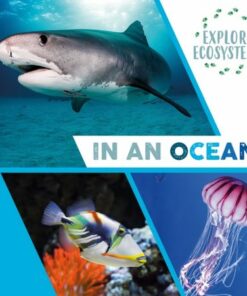 Explore Ecosystems: In an Ocean - Sarah Ridley - 9781526322272