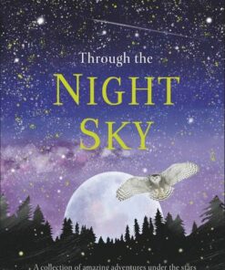Through the Night Sky: A collection of amazing adventures under the stars - DK - 9780241355459