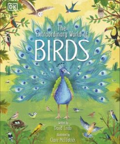 The Extraordinary World of Birds - David Lindo - 9780241529058