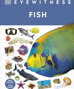 Fish - DK - 9780241569832