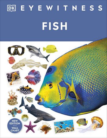 DK Eyewitness: Fish 13 Fish - DK - 9780241569832