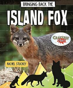 Bringing Back the Island Fox - Rachel Stuckey - 9780778768418