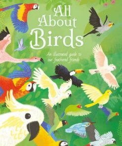 All About Birds: An Illustrated Guide to Our Feathered Friends - Polly Cheeseman - 9781398811164