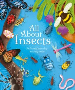 All About Insects: An illustrated guide to bugs and creepy-crawlies - Polly Cheeseman - 9781398811171