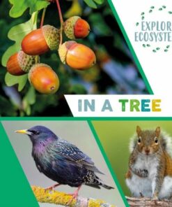 Explore Ecosystems: In a Tree - Sarah Ridley - 9781526322470