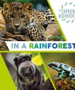 Explore Ecosystems: In a Rainforest - Sarah Ridley - 9781526322524