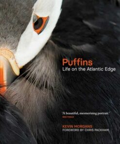 Puffins: Life on the Atlantic Edge - Kevin Morgans - 9781913207779
