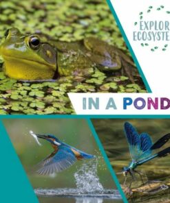 Explore Ecosystems: In a Pond - Sarah Ridley - 9781526322456