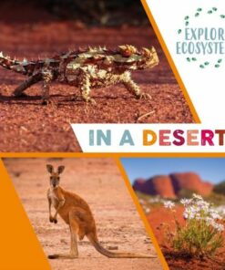 Explore Ecosystems: In a Desert - Sarah Ridley - 9781526322494