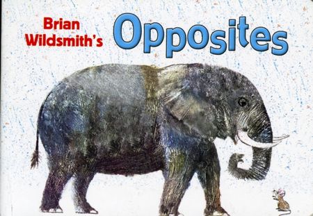 Brian Wildsmith's Opposites - Brian Wildsmith - 9781595721396