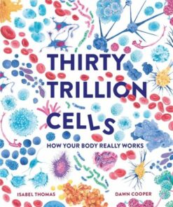 Thirty Trillion Cells: How Your Body Really Works - Isabel Thomas - 9781803380131