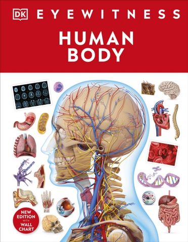 Human Body - DK - 9780241617175