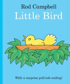 Little Bird - Rod Campbell - 9781035000241
