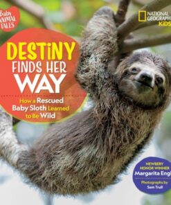Destiny Finds Her Way - Margarita Engle - 9781426372346