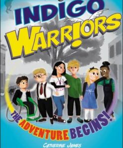 Indigo Warriors: The Adventure Begins! - Catherine James - 9781787114302