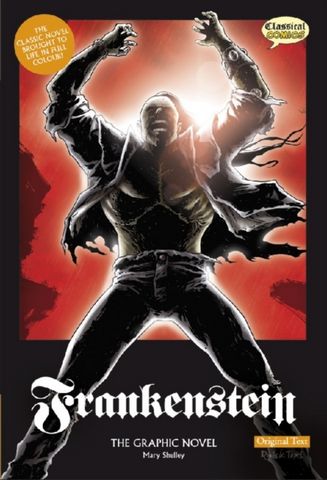 Frankenstein: Graphic Novel: Original Text - Mary Wollstonecraft Shelley - 9781906332150
