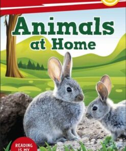 DK Super Readers Level 2 Animals at Home - DK - 9780241592694