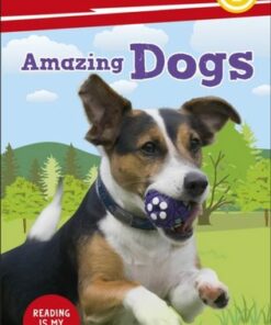 DK Super Readers Level 2 Amazing Dogs - DK - 9780241599235