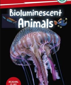 DK Super Readers Level 3 Bioluminescent Animals - DK - 9780241603826