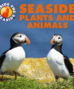 Beside the Seaside: Seaside Plants and Animals - Clare Hibbert - 9781445137674
