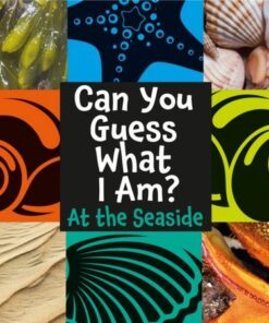 Can You Guess What I Am?: At the Seaside - J.P. Percy - 9781445144764