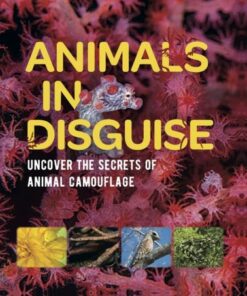 Animals in Disguise - Michael Bright - 9781526312150