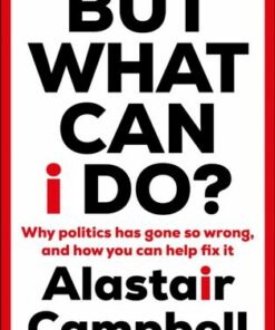 But What Can I Do?: Why Politics Has Gone So Wrong