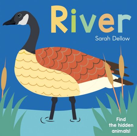 Now you See It! River - Sarah Dellow - 9781786285850