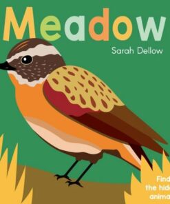 Now you See It! Meadow - Sarah Dellow - 9781786285874