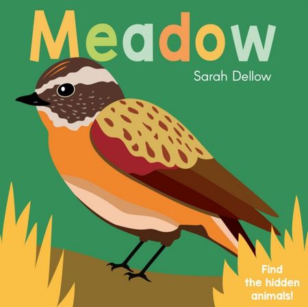 Now you See It! Meadow - Sarah Dellow - 9781786285874