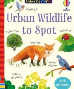 Urban Wildlife to Spot - Kate Nolan - 9781803704746